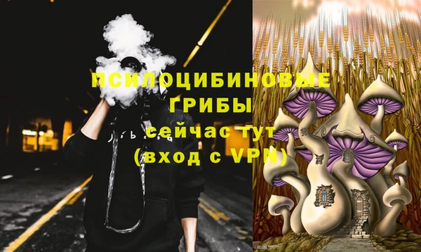 бутират Коряжма