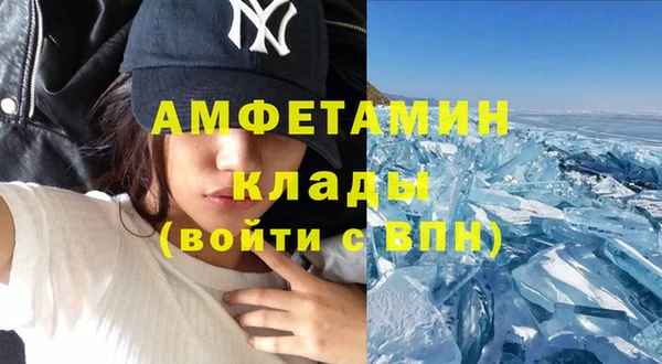 прущие грибы Костерёво