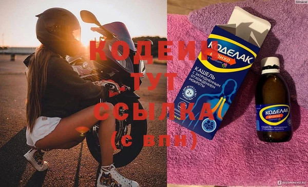 прущие грибы Костерёво