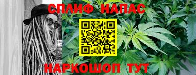 крисы Аргун