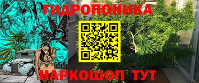 крисы Аргун
