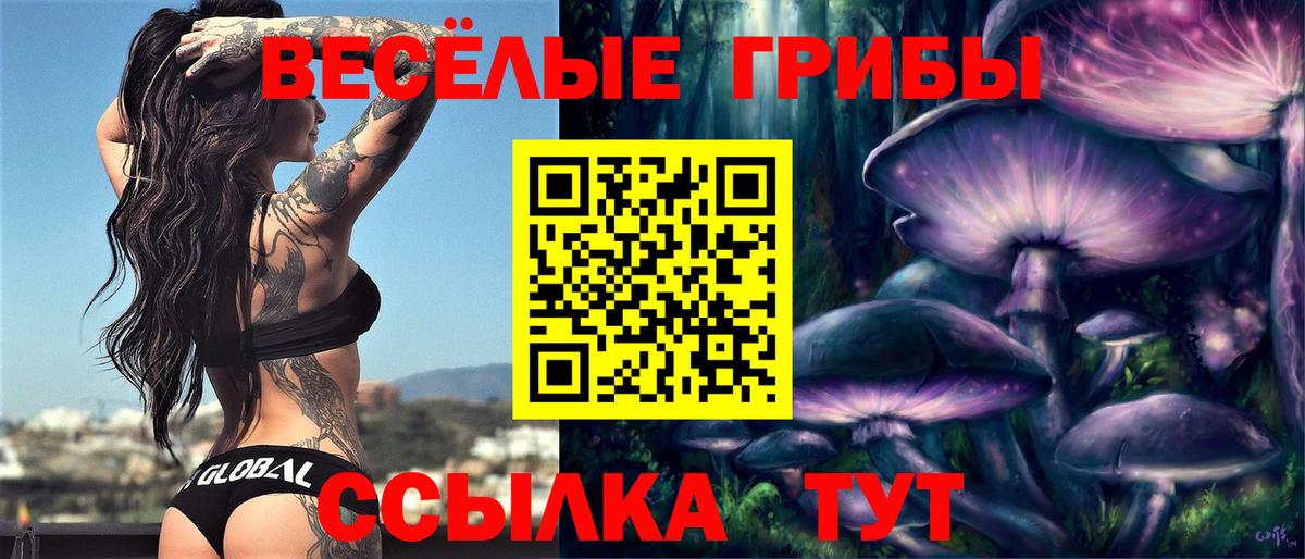 Псилоцибиновые грибы ЛСД Ногинск