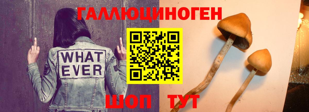 Кислота  Плюхи  Марихуана  Вход с VPN  Ногинск  Меф 